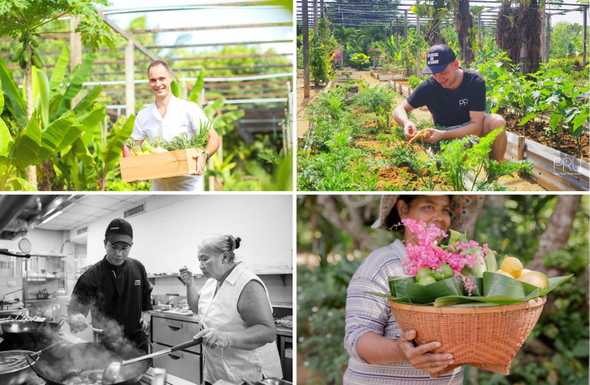 Clockise from top left: Chef Rick Dingen; Chef Jim Ophorst; Pru Jampa farm; Chef Kla Prakobkit