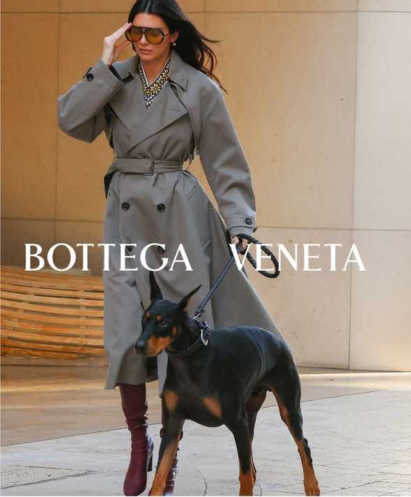 Kendall's Doberman steps out sporting the Intrecciato Pet Lead