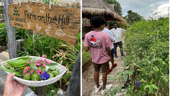 Exploring the Farm on the Hill